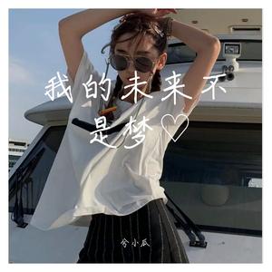 我的未来不是梦DJ