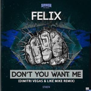 Don't You Want Me  (Remix)