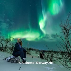 Under the Arctic Sky – Alshemal Norway | Aurora Song • Northern Lights Chase in Tromsø