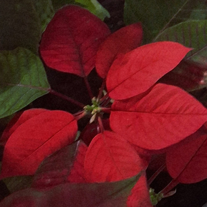 ในวันที่อยากรู้จักเธอมากกว่านี้