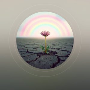 我们都是最棒的小羊