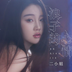 浪子的心情 (伴奏)