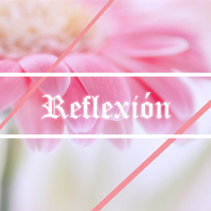 Reflexión