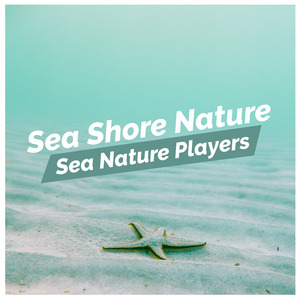 The Spreading Oceans