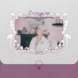 即兴是闭嘴的前奏 (homegrown自家种 live)