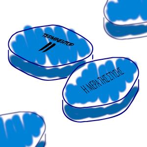 Ο τραγουδιστής