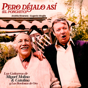 Pero déjalo así (El ponchito)