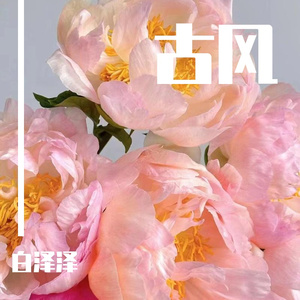 如果那一天我们白了头女声