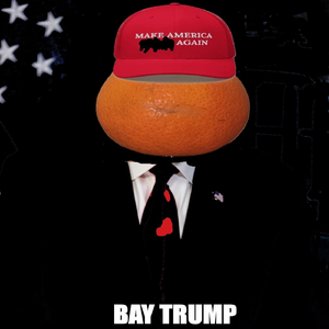Bay Trump