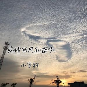 痴情的风向南吹 (DJ版)
