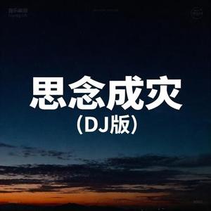 思念成灾 (DJ版) (Remix)