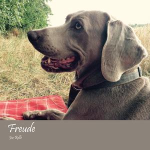 Freude