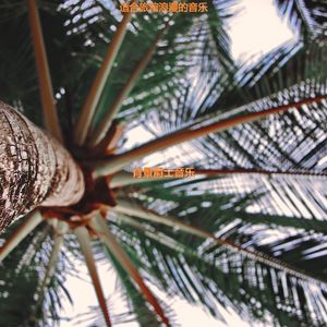 适合旅馆朦胧的音乐