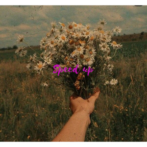 ชอบเวลาเธอยิ้ม (Sped Up Version)