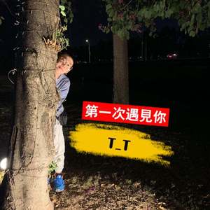 第一次遇见你（翻自 Tizzy T）