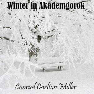 Winter in Akademgorodok