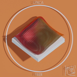 Fiber (Original Mix)