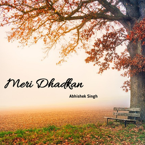 Meri Dhadkan