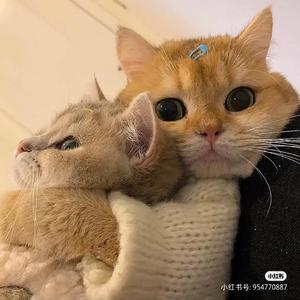 往来无望