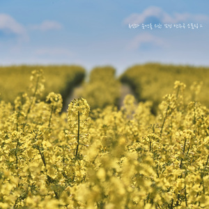 휴식과 숙면을 위한 감성 연주곡 소품집 2 - 아빠를 위한 자장가