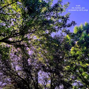 truth (feat. mental & joie)