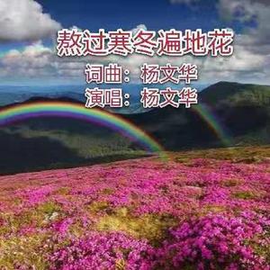 熬过寒冬遍地花