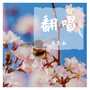 奔赴星空（翻自 尹昔眠）