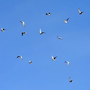 一起旅行吧