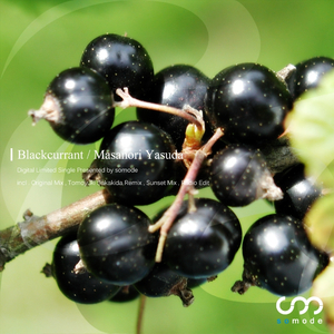 Blackcurrant (Sunset Mix)