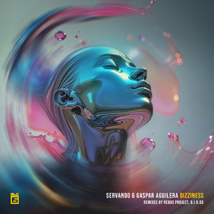 Dizziness (B.I.R.DD Remix)