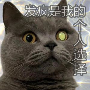 发疯是我的个人选择（Prod by Slim Dyane.)