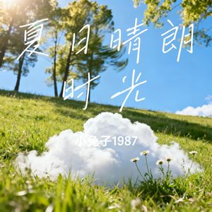 夏日晴朗时光
