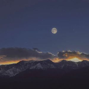 我们终将归于人海