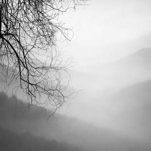 It Settled Quietly (feat. Isaac B. Cole)