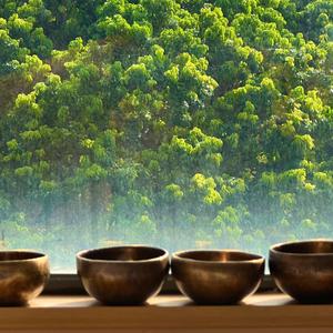 颂钵冥想音乐-空山竹林