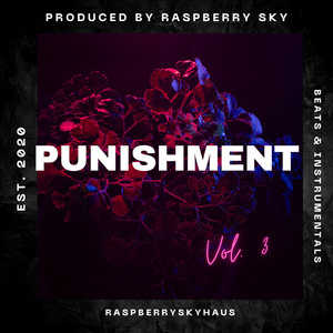 Punishment (Instrumental)