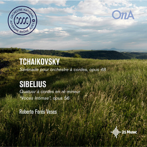 Sérénade pour orchestre à cordes in C Major, Op. 48:III. Elegia - Larghetto elegiaco