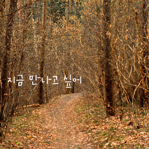 지금 만나고 싶어