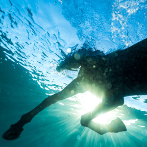 The Only Way Out Is Through