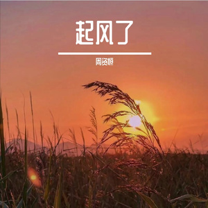 起风了（live版）