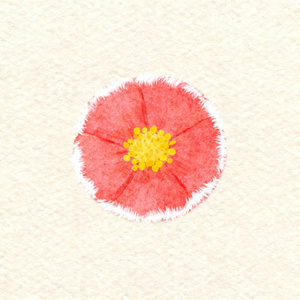 小花生