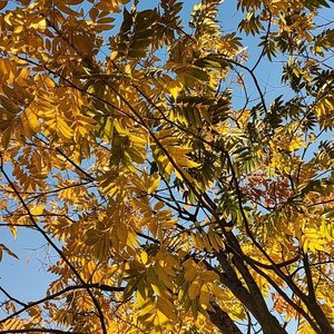 逆光而来的你.wav