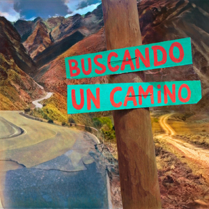 Film Velado