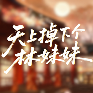 天上掉下个林妹妹