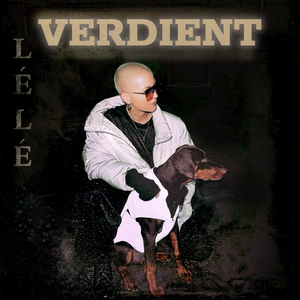 VERDIENT