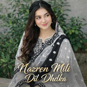 Nazren Mili Dil Dhadka (Letest Romantic Song)