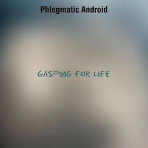 The Voyage In The End