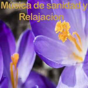 Meditando todas las Mañana
