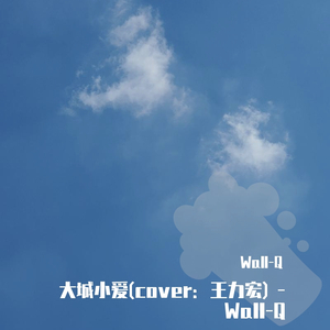 大城小爱(翻自 王力宏) -Wall-Q