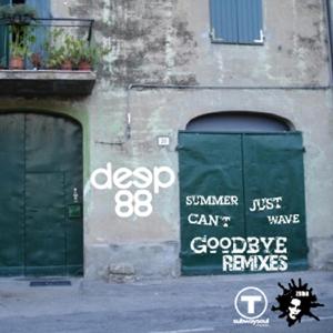 Summer Cant Wave Goodbye (Seed In The City Mix)